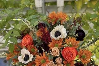 Seraphic Blooming Company - 5