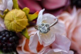 AIP Photography - 17