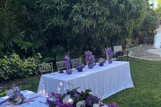 The Party Place - 5