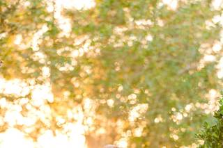 Christine Austin Photography - 12
