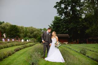 Orchard View Lavender Farm - 10