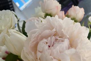 Flower Allie - 19