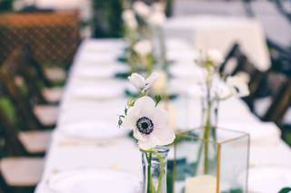 Leniel V. Photography - 78