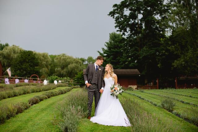 Orchard View Lavender Farm - 4