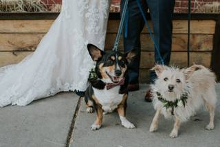 shanna m. photography - 5