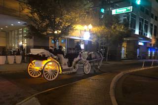Sweet Southern Horse & Carriage - 9