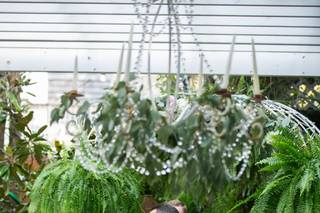 Sarah Montgomery Events - 5