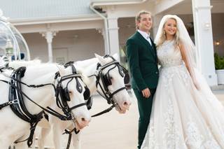 David and Vicki Arndt Photography - 44
