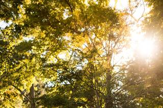 Cassondre Mae Photography - 55