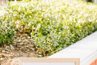 Emily Devitt Designs - 5