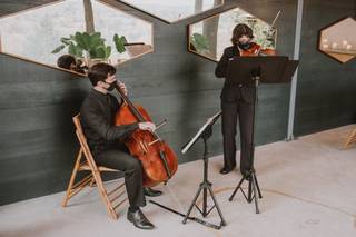 J&K Strings - 25