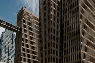 Lupins and Lava Florals - 9