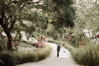Megan McCullor Photography - 56