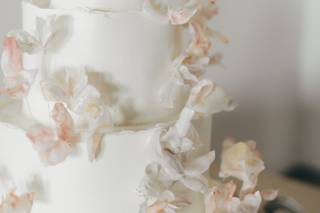 Cake Envy - 64