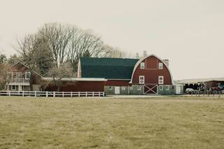 Hopkins Heartland - 91