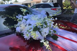 Just For Fun flowers - 17