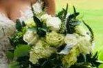 Katydid Flowers - 21