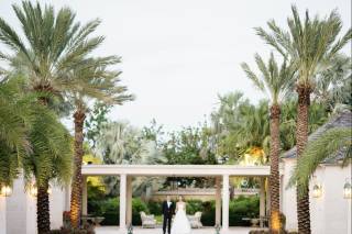 Greg Ross Photography - 11