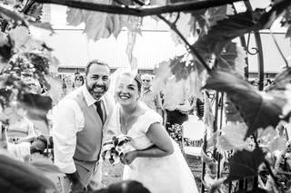 Bella-Brooke Vineyard - 5