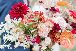 Susan Elizabeth Photography - 74