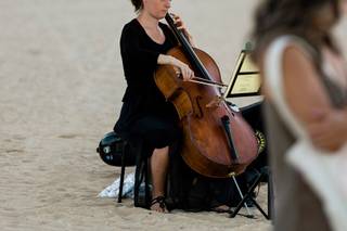 Oahu Strings - 8