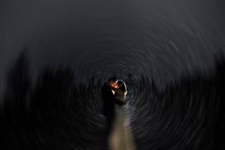 D.A. Neitz Photography - 6