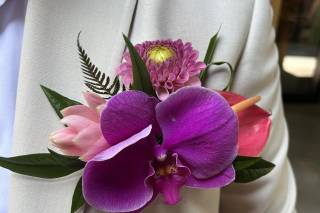 Stargazers Designs - 25