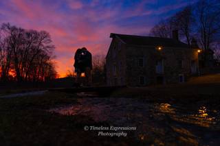 Timeless Expressions Photography - 11