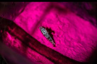 H Rosario Photography - 6
