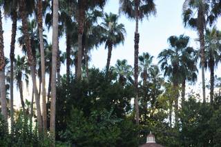 Cashman Photo - 13