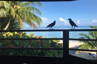 Tahiti.com - 23