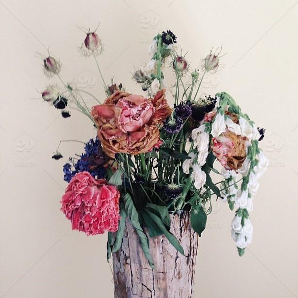 Flowers By Coley - 1