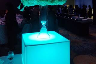 Georgia Aquarium - 10