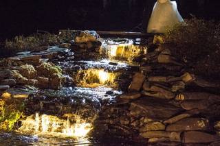 Revelation Photography - 1