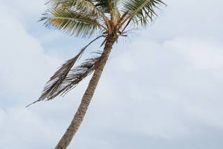 Love and Sea Photography - 29