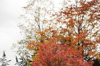 Julia Luckett Photography - 58