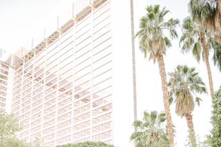 Flamingo Las Vegas Wedding Garden Chapel - 34