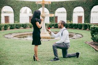 Nick Snell Photography - 28