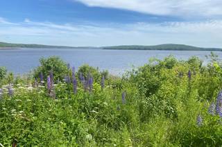 Penobscot Bay Estate - 22