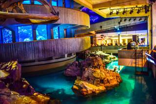 New England Aquarium - 23