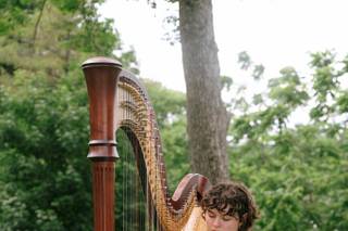 The Elegant Harp - 19