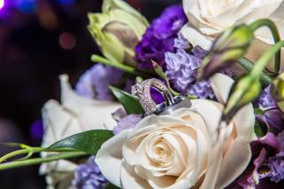Mckay Photography - 6