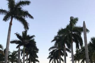 Casa Marina Key West, Curio Collection by Hilton - 10