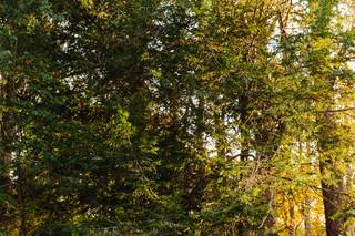 Heartfelt Elopements - 25