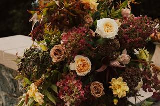 Damselfly Designs - 15