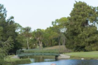 Feather Sound Country Club - 22