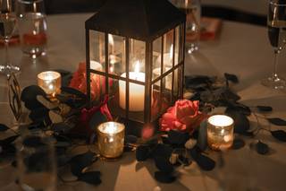 Bucks County Roses - 25