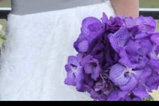 Karen Attardo Beauty - 39