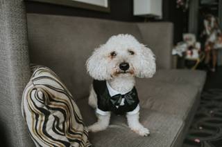 Jose Ybarra Photography - 190