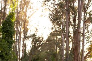 Sarah Rittenour Photography - 5